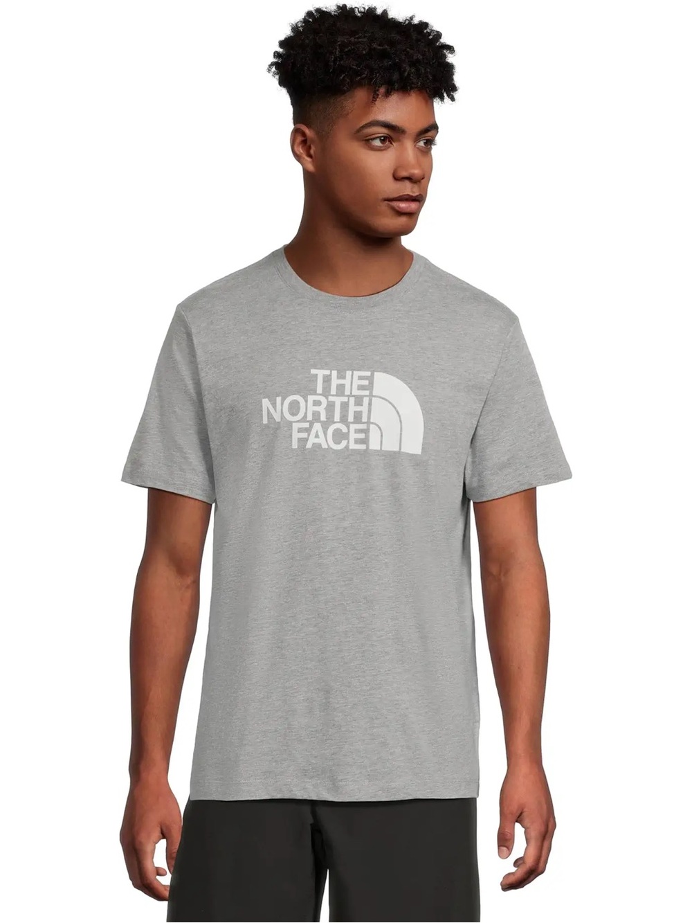 The North Face | Evolution 1/2 Dome Regular Short Sleeve Tee
